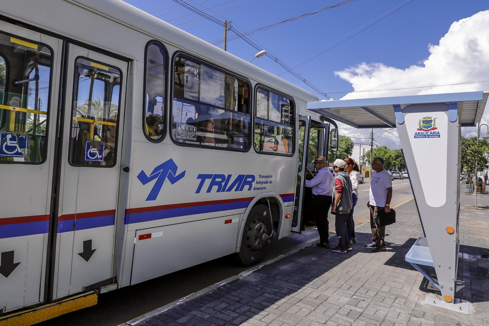 Ônibus Araucária Transporte coletivo