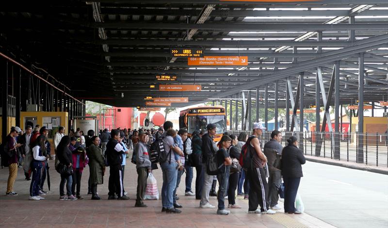 Linha Araucária Curitiba