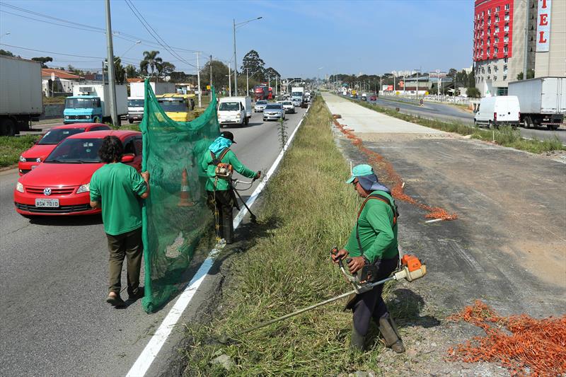 Serviços Linha Verde