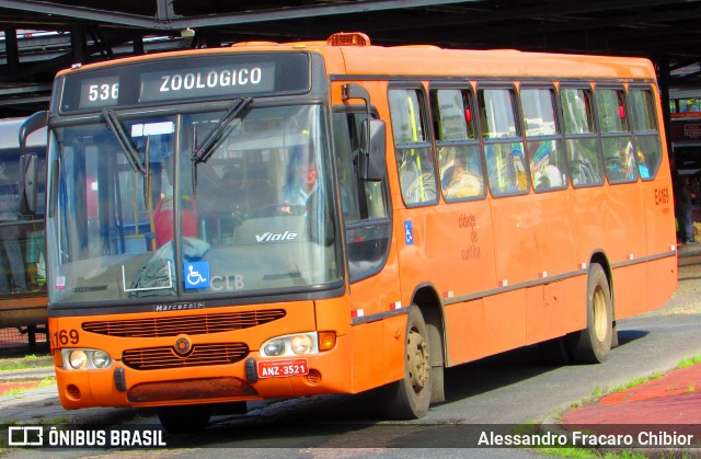 536 Zoológico Linha