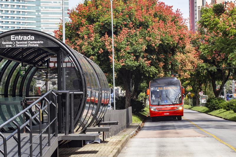 Ônibus Flores