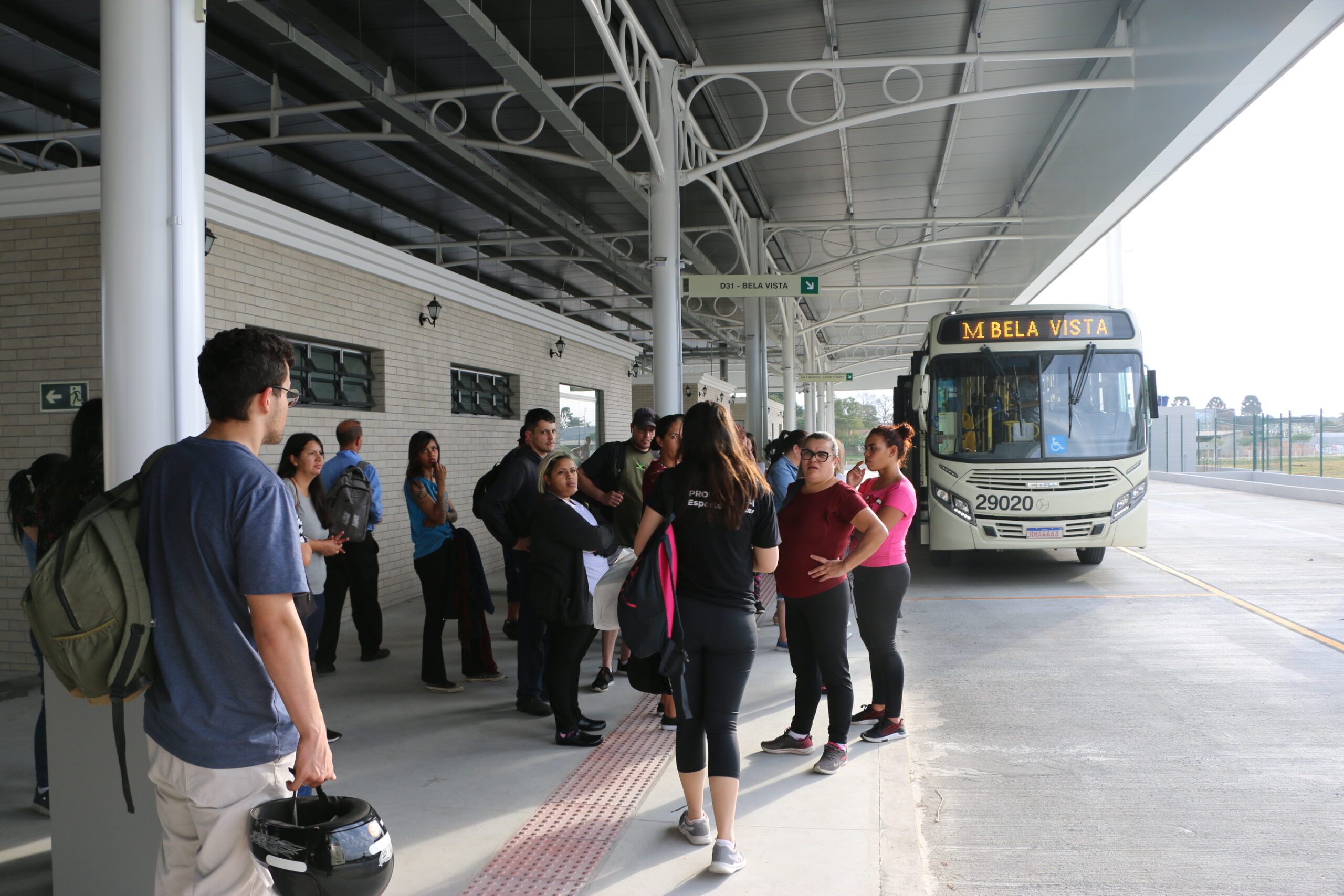 bela vista ônibus