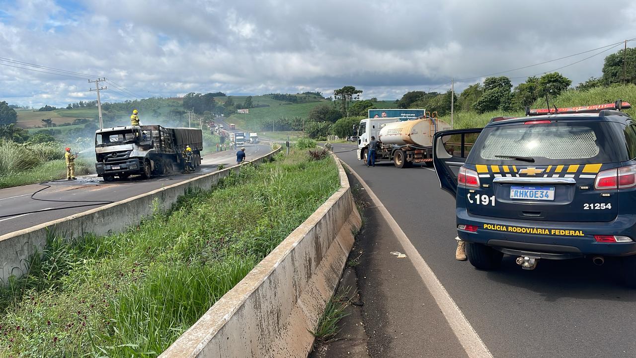 califórnia veículo BR-376