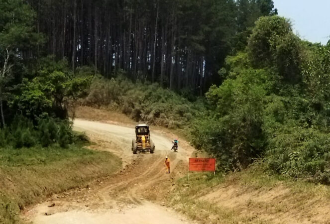 pr-405 guaraqueçaba