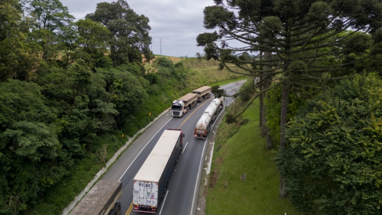 rodovia via araucária