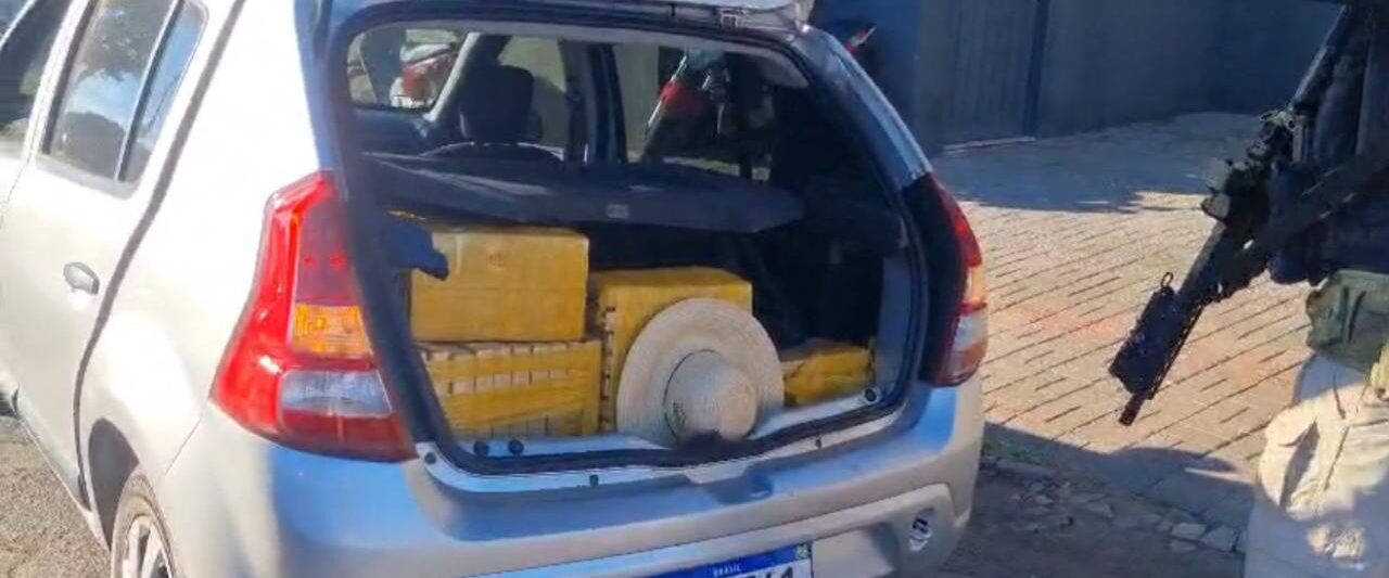 maconha em Arapongas