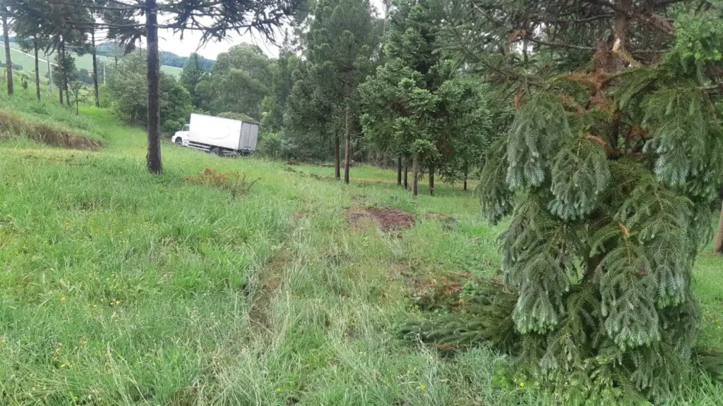 km 519 da BR-376 ponta